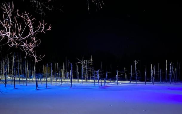 青池-Blue-Pond